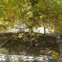 فروش باغ واقع در روستای تاریخی ارنگه