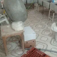 استاد نقل و نبات پز