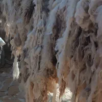 پشم شسته|رختخواب، بالش، پتو|بجنورد, |دیوار