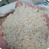 برنج هاشمی اصل مازندران محصول 1404|خوردنی و آشامیدنی|تهران, مولوی|دیوار