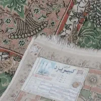 فرش|فرش|بندرعباس, |دیوار