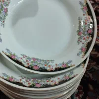 چینی|ظروف سرو و پذیرایی|چهاردانگه (تهران), |دیوار