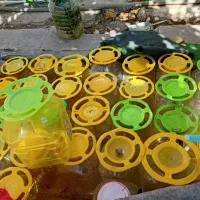 خمره و دبه در فرمانی|ظروف نگهدارنده، پلاستیکی، یک‌بارمصرف|کرمانشاه, |دیوار
