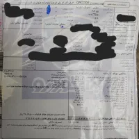 پژو ۲۰۷ پانا رینگ فولادی|خودرو سواری و وانت|کرج, شهرک اوج|دیوار
