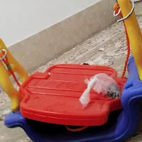 تاب وکریر و پایه قابلمه|کالسکه و لوازم جانبی|بردسکن, |دیوار