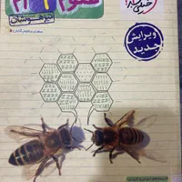 کتاب های تیزهوشان نهم|کتاب و مجله ادبی|تهران, جنت‌آباد جنوبی|دیوار