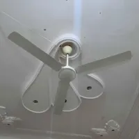 پنکه