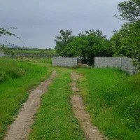 فروش ۹۰۲ متر زمین باغ مرکبات