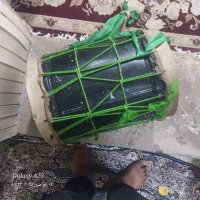 دمام چوبی و دله ای|سازهای سنتی|فین, |دیوار