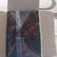 خرما رب انار شیره خرما تخم مرغ محلی تازه|حراج|اهواز, کوی ترابری|دیوار