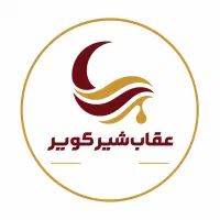 استخدام راننده