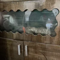 اکواریوم مفت