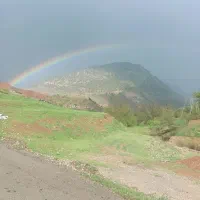 دو عدد کارت ملی پیدا شده