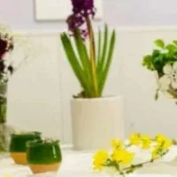 تعمیرات یخچال ولباسشویی سیار