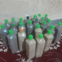 بذز کشاورزی|گل و گیاه طبیعی|کوهدشت, |دیوار