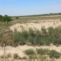 زمین ۵۰۰متری باغی ک نزدیک خیابان اصلیه