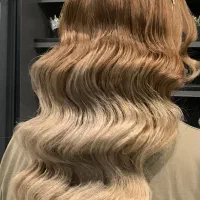 شینیون رایگان هنرجو