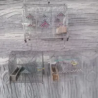 3عدد قفس سهره