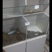 قفسه فلزی و قفسه حبوبات و شکلات|فروشگاه و مغازه|قم, خاکفرج|دیوار