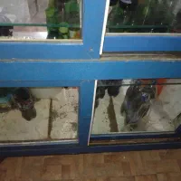 یخچال|یخچال و فریزر|حمیدیه, |دیوار