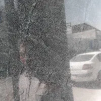 صنایع سنگ رویال|مصالح و تجهیزات ساختمان|تهران, حصار بوعلی|دیوار