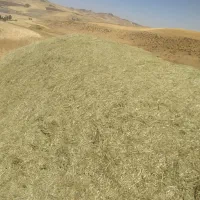 علف درجه 1
