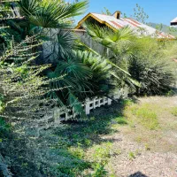 یک ویلا شیک فروش فوری|فروش خانه و ویلا|شفت, |دیوار