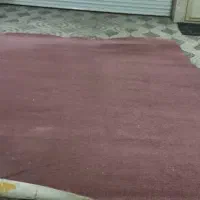 موکت کلفت ۱۲ متری