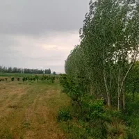 باغ زیبا|فروش زمین و ملک کلنگی|هیر, |دیوار