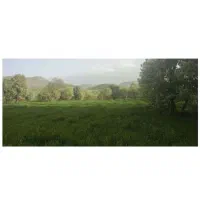 زمین دیم ویسیان