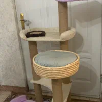 درخت گربه(اسکرچر)