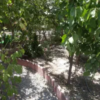 باغ ویلا ۵۰۰ متری انجم آباد،کنتوربرق،گاز،آب|فروش خانه و ویلا|رباط‌کریم, انجم آباد|دیوار