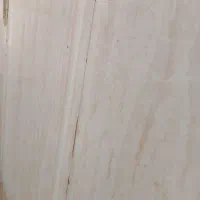 کارگر نظافت چی