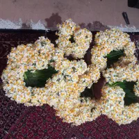 گل نرگس|گل و گیاه طبیعی|معمولان, |دیوار