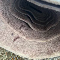 موکت پالاز