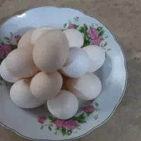 تخم مرغ گلین