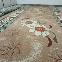 کناره گلیم|گلیم، جاجیم، گبه|ایلام, |دیوار