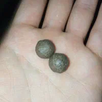 عتیقه و سنگ رزق و روزی