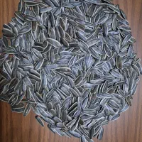 تخمه آفتابی وکدو خام وطعم دار|عمدهفروشی|قم, خداکرم|دیوار