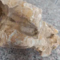 سنگ‌اکواریومی|ماهی|همدان, |دیوار