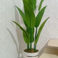 درختچه  مصنوعی|گل مصنوعی|ساوه, |دیوار