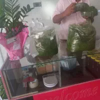 سبزی قرمه سبزی