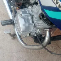 گوسفتدنرفروشی|حیوانات مزرعه|زهک, |دیوار