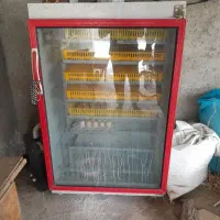 دستگاه جوجه کشی تمام اتوماتیک