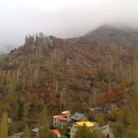 استخدام خدمات و نگهبان