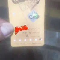 بلیط استخر پازیریک