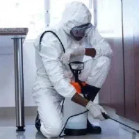 سمپاشی تخصص موریانه زدایی سوسک ساس سم پاشی موش