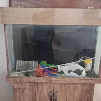 اکواریوم مبله