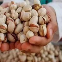 فروش آب تلمبه وزمین پسته ای مشجر