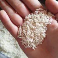 برنج به شرط پخت شمالی یک بازار